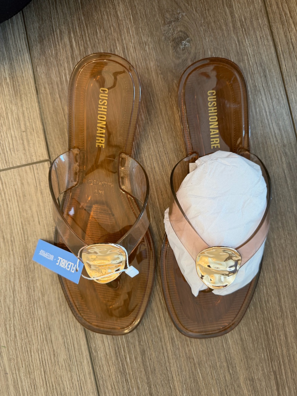 Cushionaire Women's Brown Clear Jelly Sandals with Gold Medallion